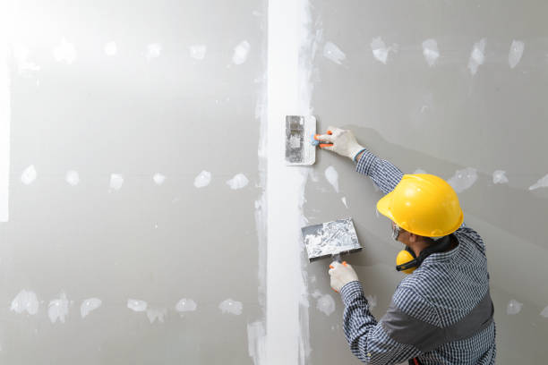 Best Black Mold Removal  in Moores Mill, AL