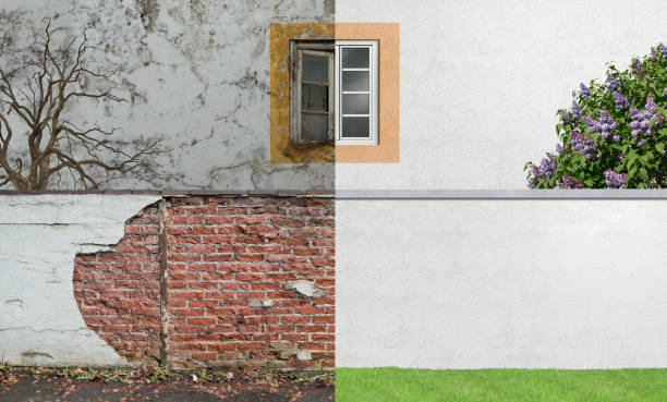 Best Water Damage & Mold Remediation  in Moores Mill, AL