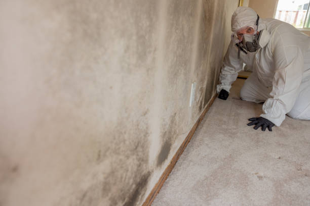 Best Dehumidification Services  in Moores Mill, AL